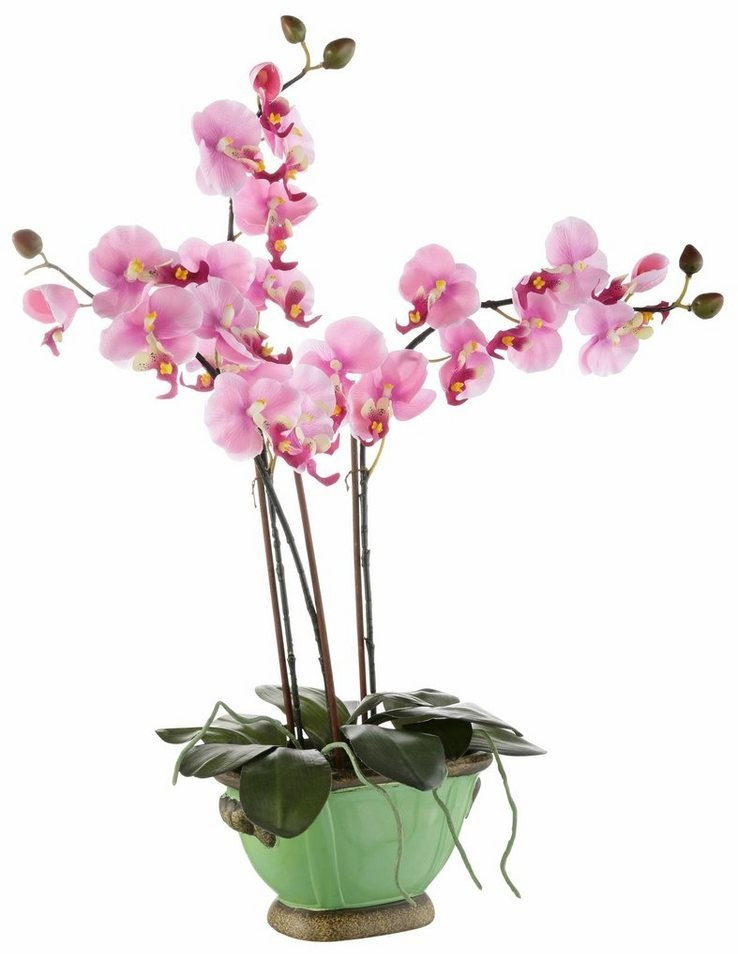 Home Affaire Orchidee 60cm ab 28,78 € | Preisvergleich bei