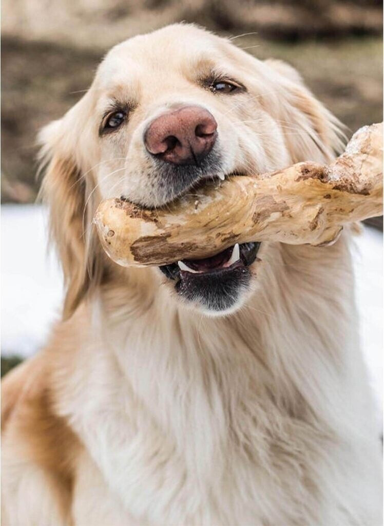 Chewies Jouet à mordre pour chien
