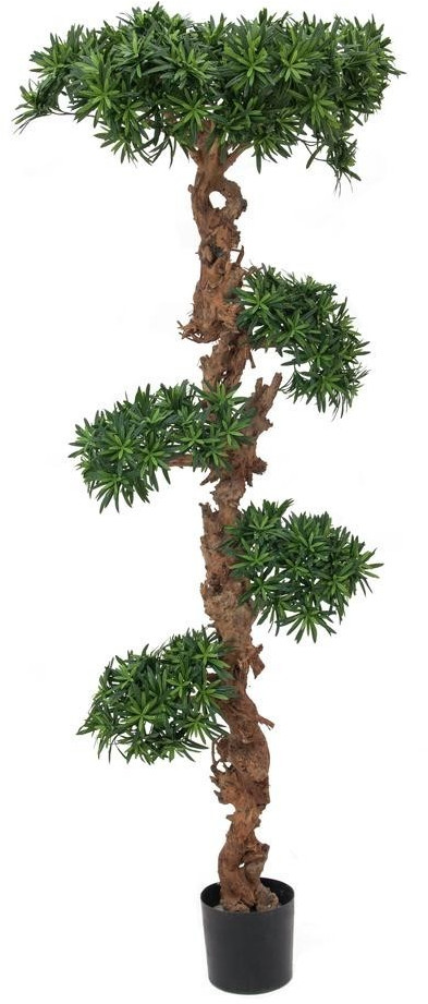 Europalms Bonsaï - 180 cm