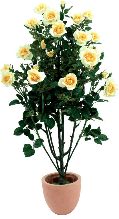 Europalms Rose jaune - 140 cm