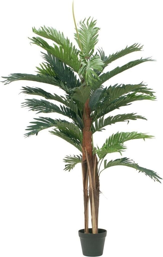 Europalms 82511365