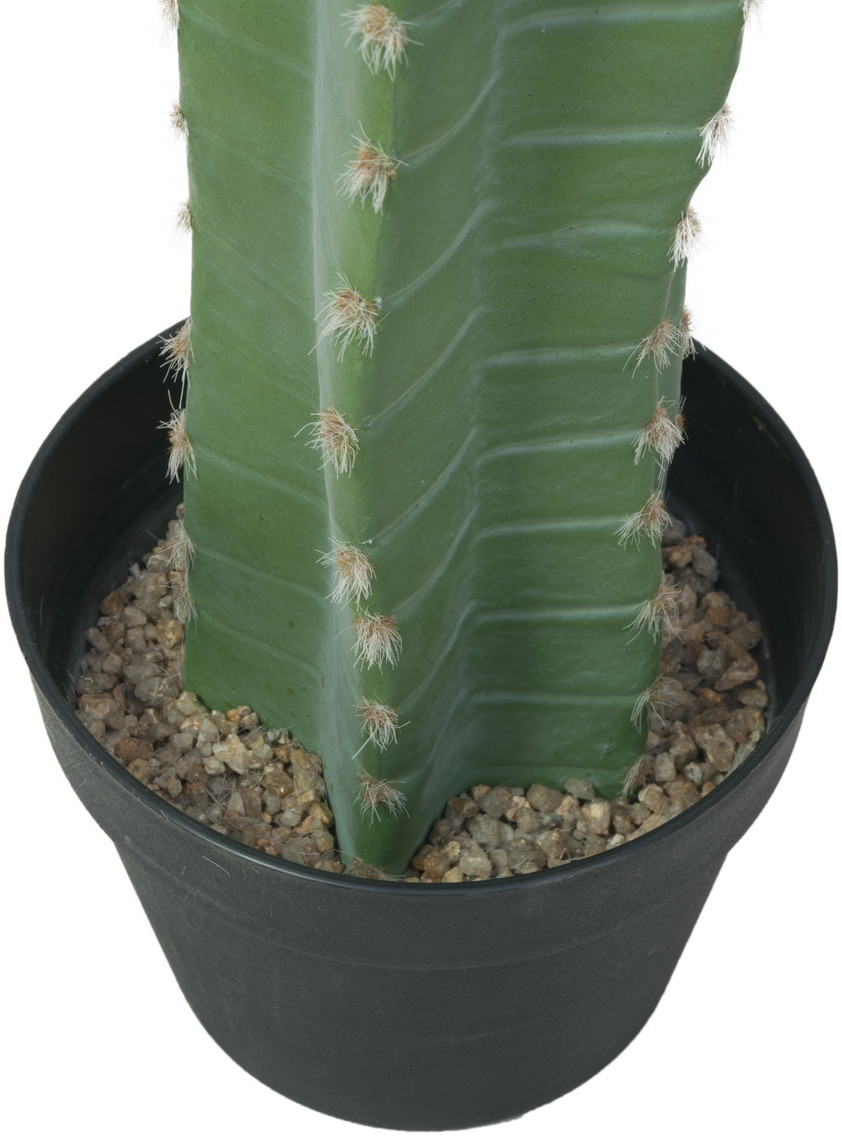 Europalms Mexikanischer Kaktus 97cm ab 59,99 €