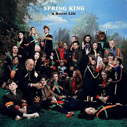 Island Spring King - A Better Life (Vinyl)