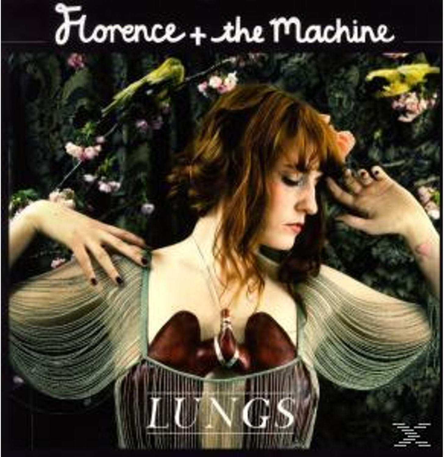 Island Florence + The Machine - Lungs (Vinyl)