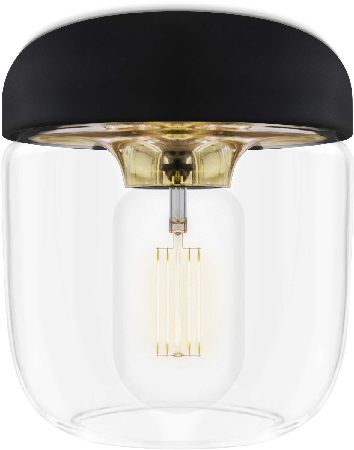 UMAGE Acorn Gold Black Clear