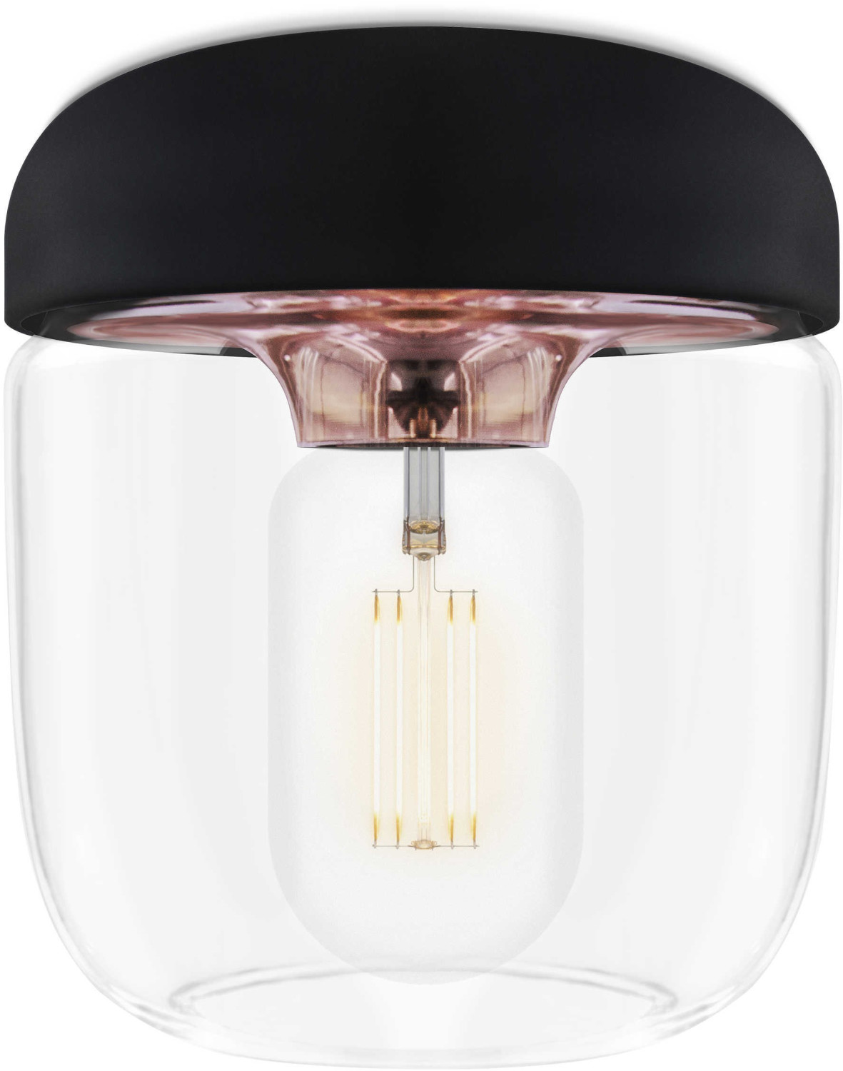 UMAGE Acorn Copper Black Clear