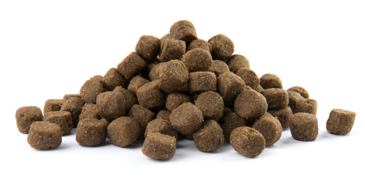 Versele-Laga Croquettes pour chien Versele-Laga Croquettes pour chien