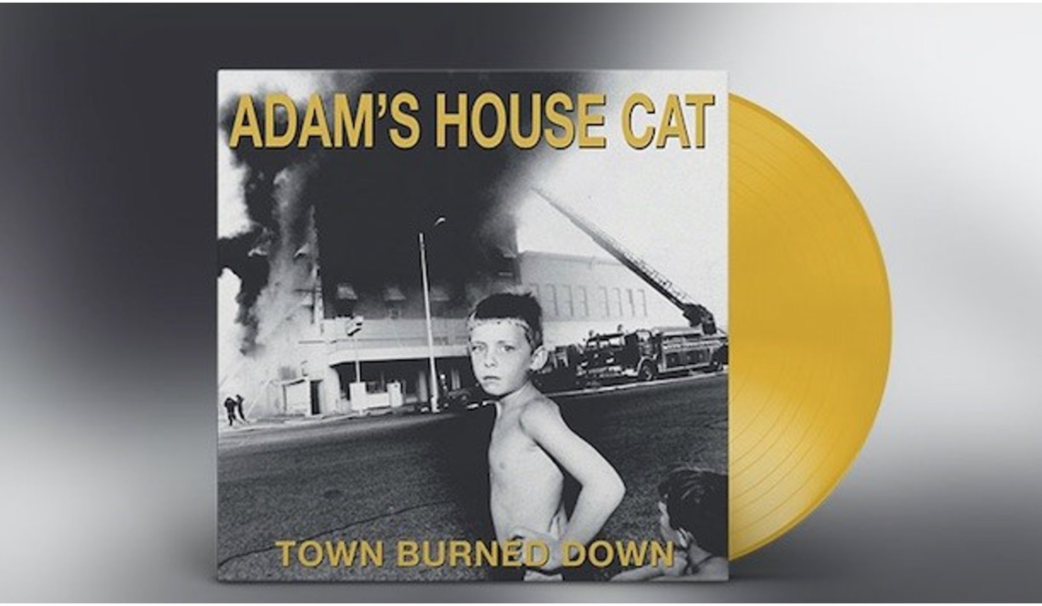 Adams House Cat - Town Burned Down (Vinyl)