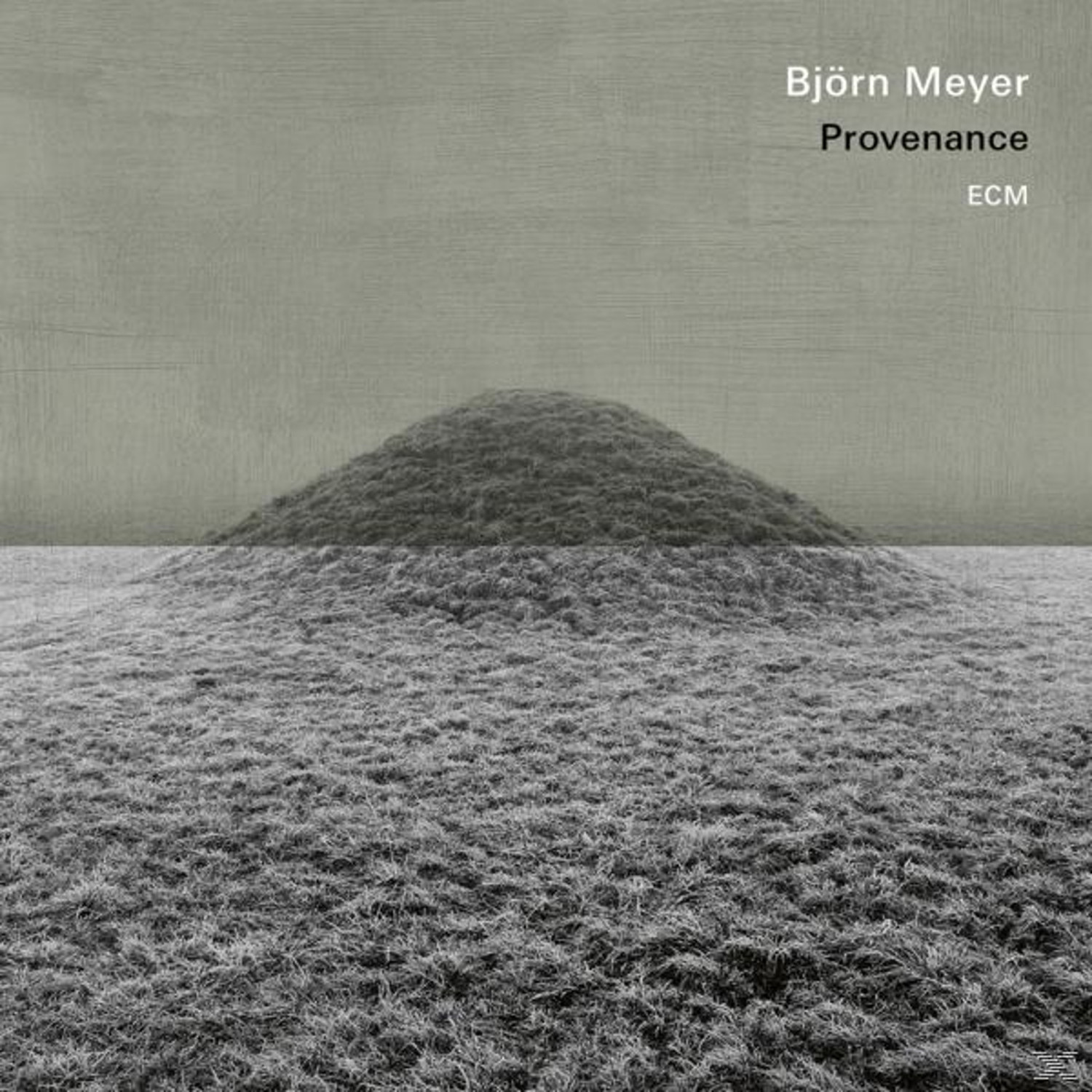 Björn Meyer - Provenance (Vinyl)