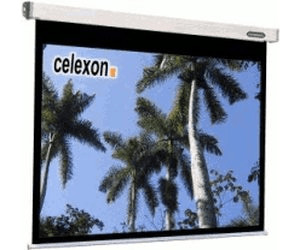celexon Beamer-Leinwand Motor Professional 160 x 120 cm Projektor-Leinwand für alle Projektorsysteme Format 4:3 Geeignet für Heimkino & Präsentationen Wand- oder Deckenmontage Gainfaktor 1,2 