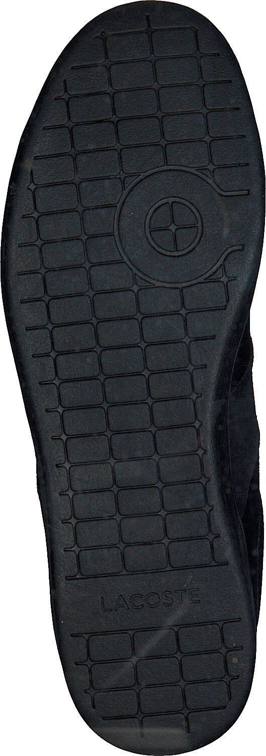 lacoste carnaby evo 38