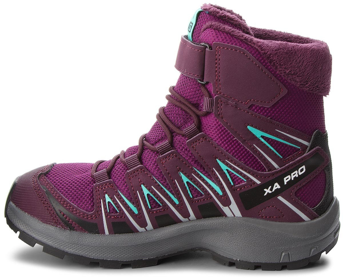 xa pro 3d winter ts cswp