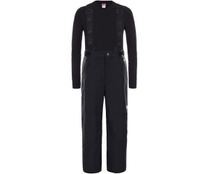 The North Face Youth Snowquest Suspender Plus Pants desde 52,99 € | Compara  precios en idealo