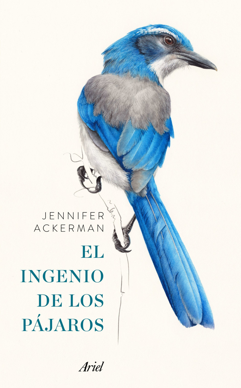 El ingenio de los pájaros (Jennifer Ackerman)