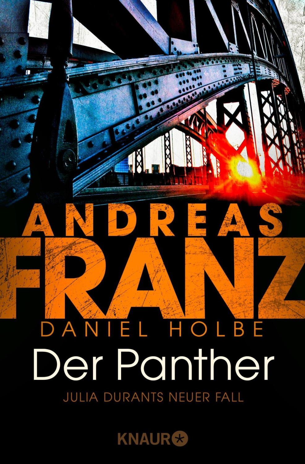 Der Panther Julia Durants neuer Fall (Andreas Franz, Daniel Josef Holbe)