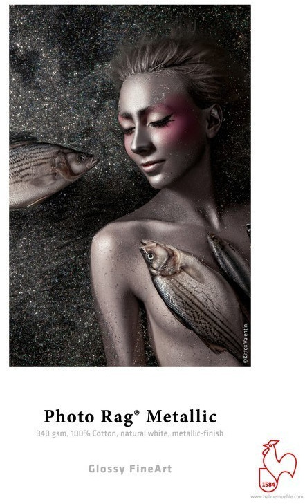 Hahnemühle Photo Rag Metallic 340 (HM10641763)