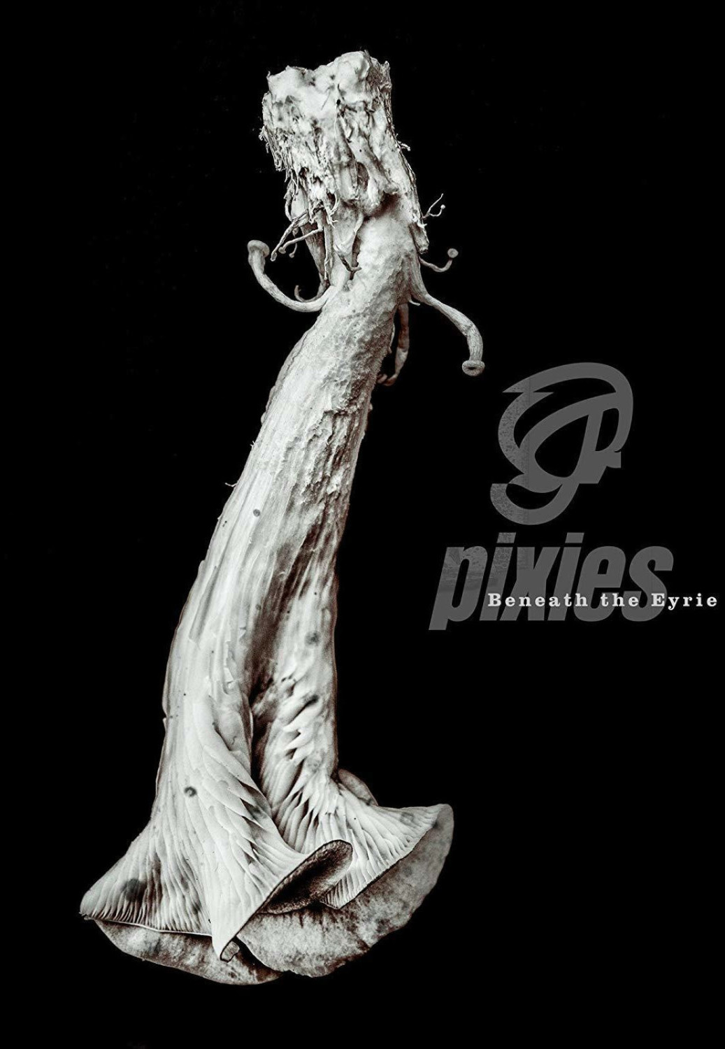 Pixies - Beneath the Eyrie (CD)