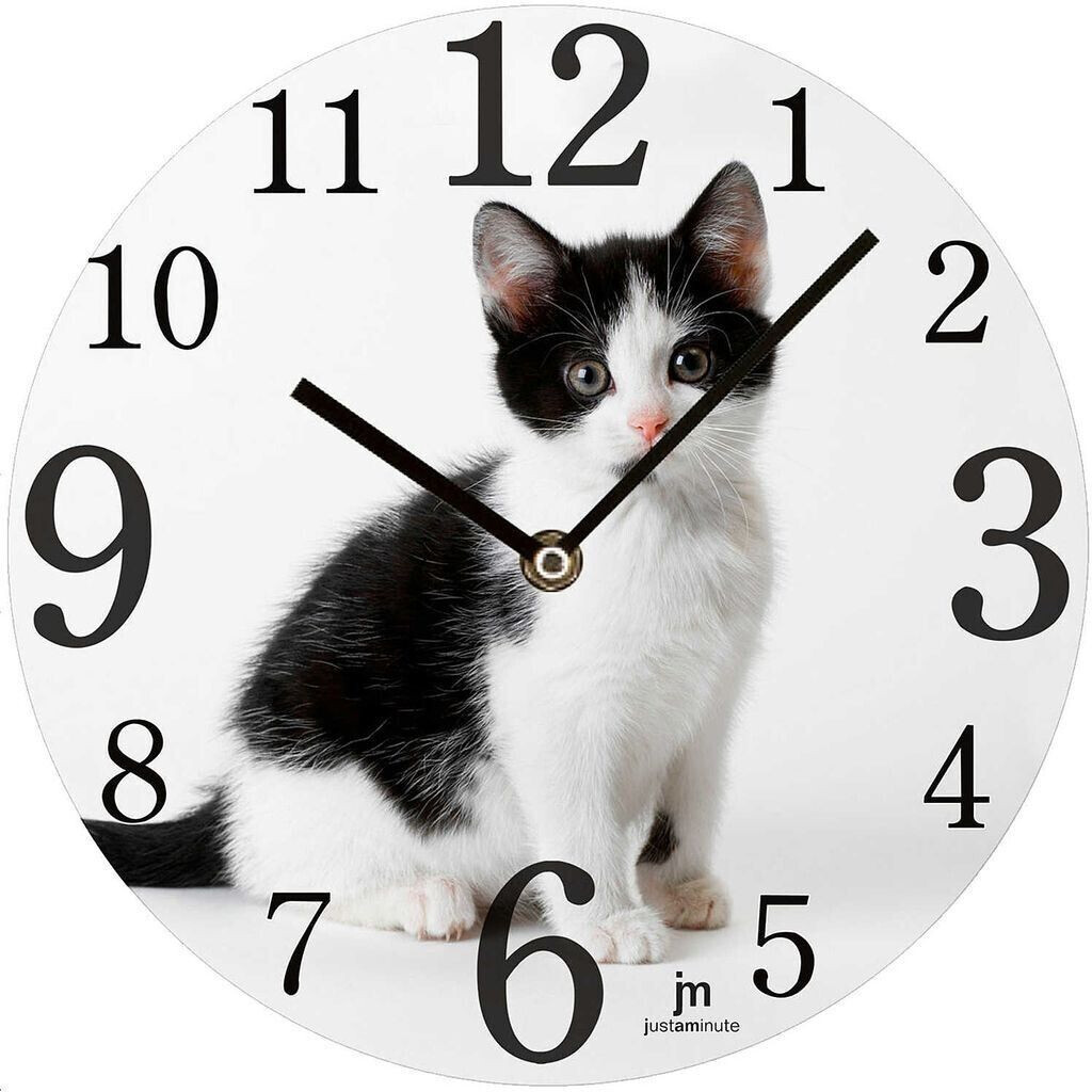 Lowell JM Cat (14844)