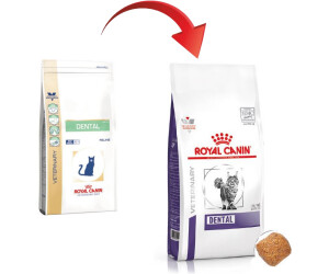 Royal canin cheap dental biscuits