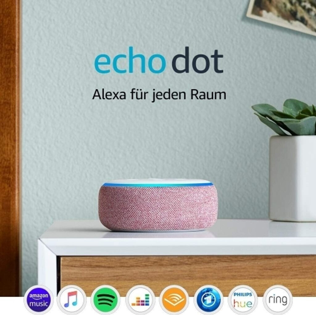 echo dot offerte