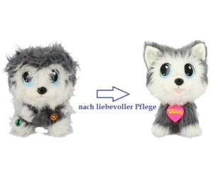 rescue runts husky amazon