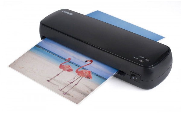 Pavo Florida Premium A4