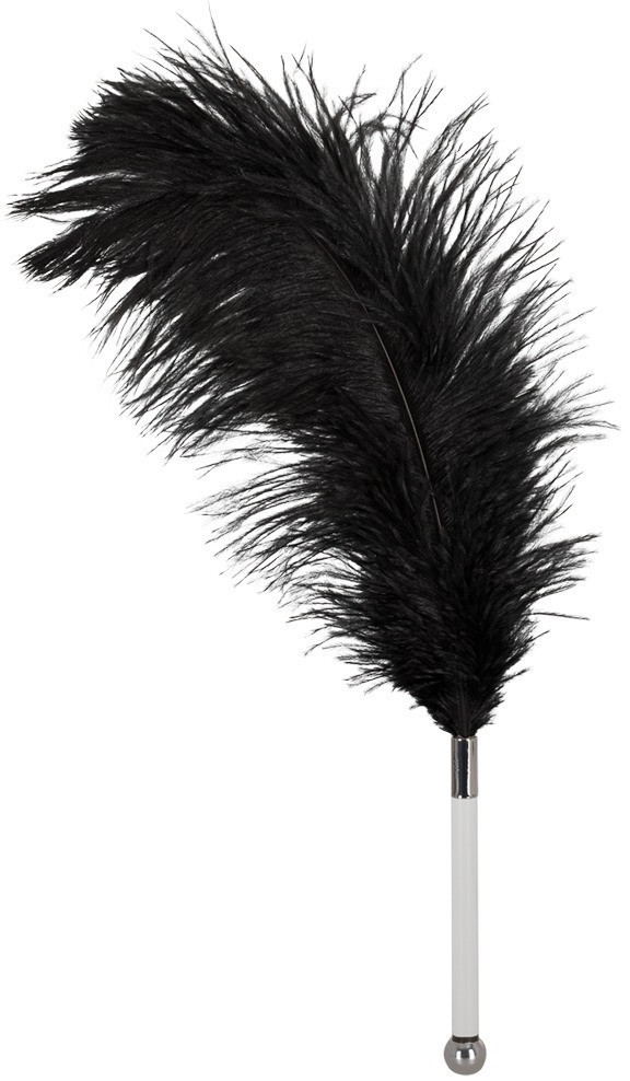 You2Toys Bad Kitty Acrylic Feather Black
