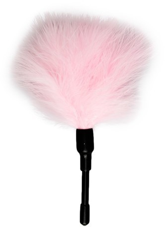 EasyToys Fetish Collection Feather Tickler Small