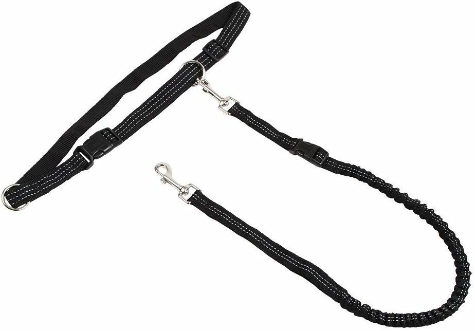 Kerbl Laisse de jogging avec ceinture Active (81181)
