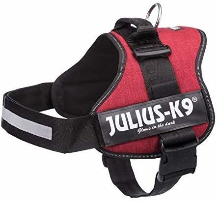 Julius K-9 Harnais Power taille 3 bordeaux