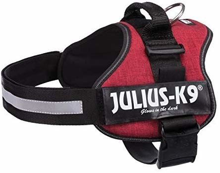 Julius K-9 Harnais Power taille 2 bordeaux