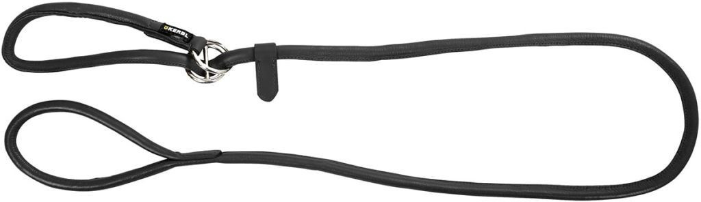 Kerbl Laisse avec collier intégré Roma 170 cm noir (81099)