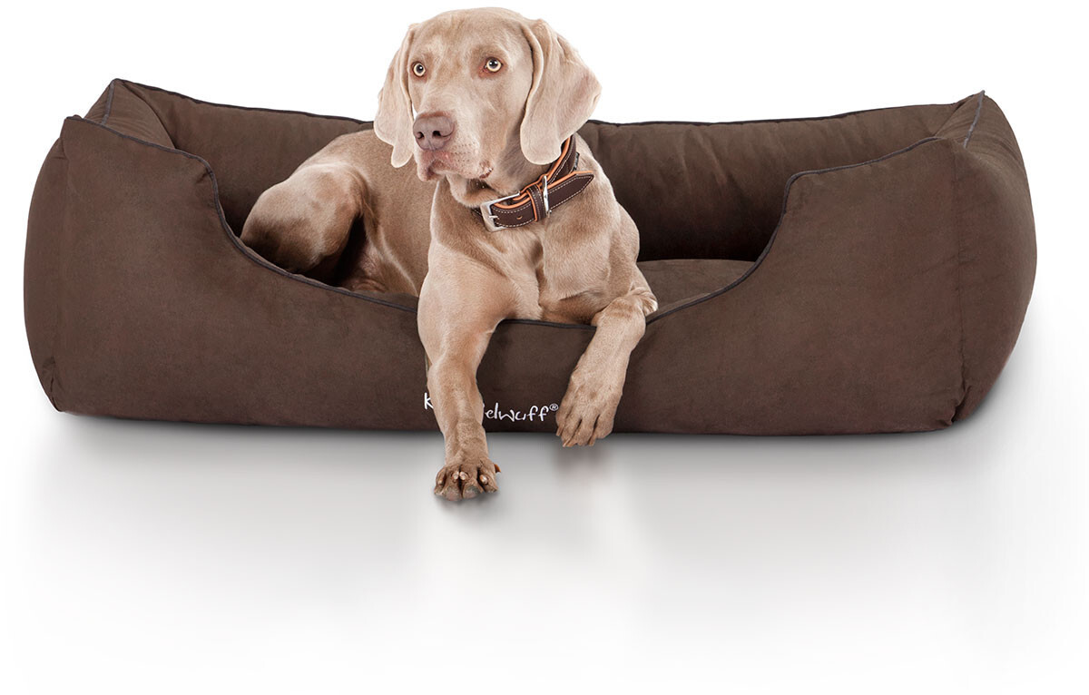 Knuffelwuff Orthopedic Dog Bed Amelie