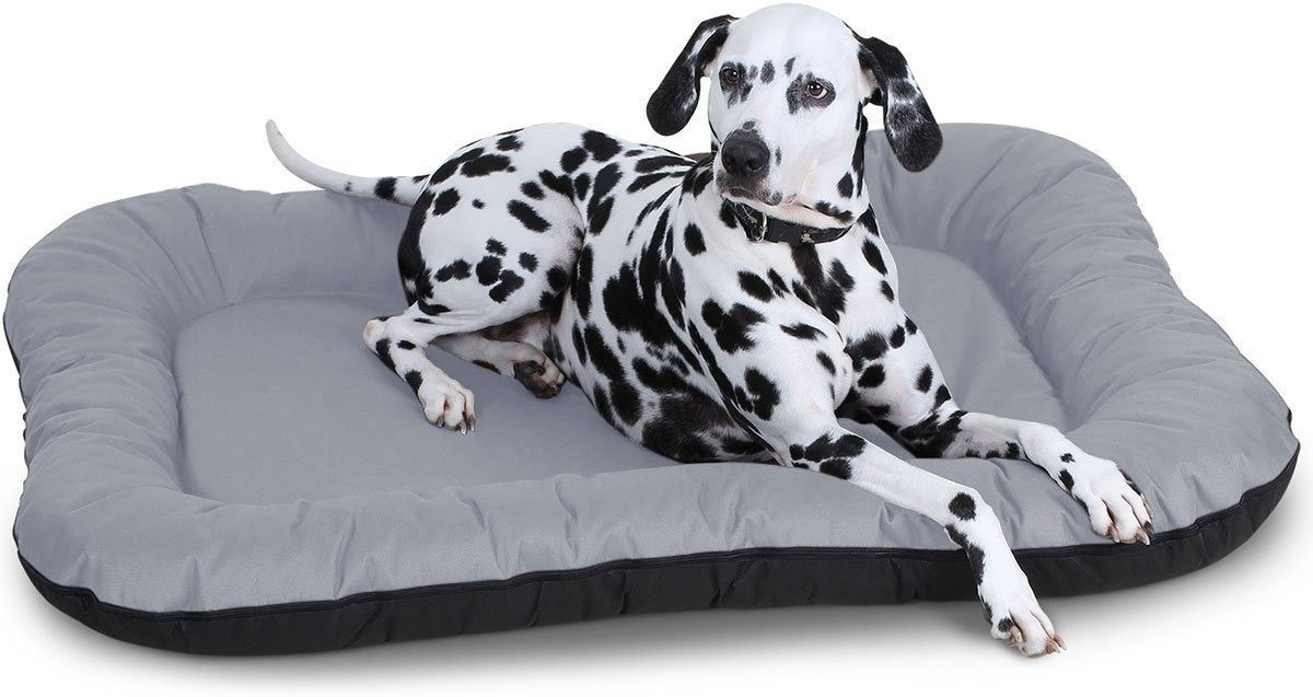 Knuffelwuff Lit pour chien Grey XXL 118 x 85 cm Knuffelwuff Lit pour chien Grey XXL 118 x 85 cm