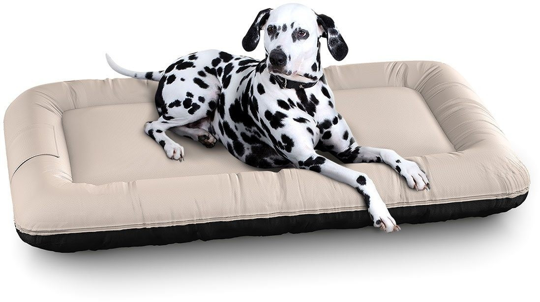 Knuffelwuff Lit pour chien Beige XXL 120 x 85 cm Knuffelwuff Lit pour chien Beige XXL 120 x 85 cm