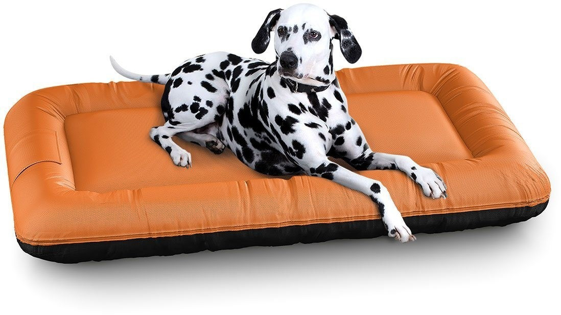Knuffelwuff Lit pour chien Beige XXL 120 x 85 cm Knuffelwuff Lit pour chien Beige XXL 120 x 85 cm
