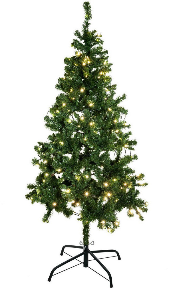 Europalms 83500299