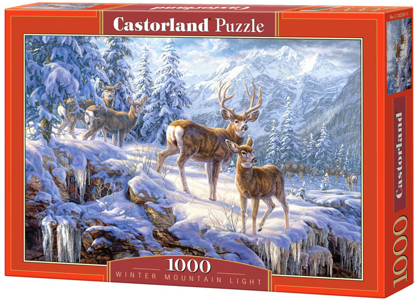 Castorland Winter Mountain Light