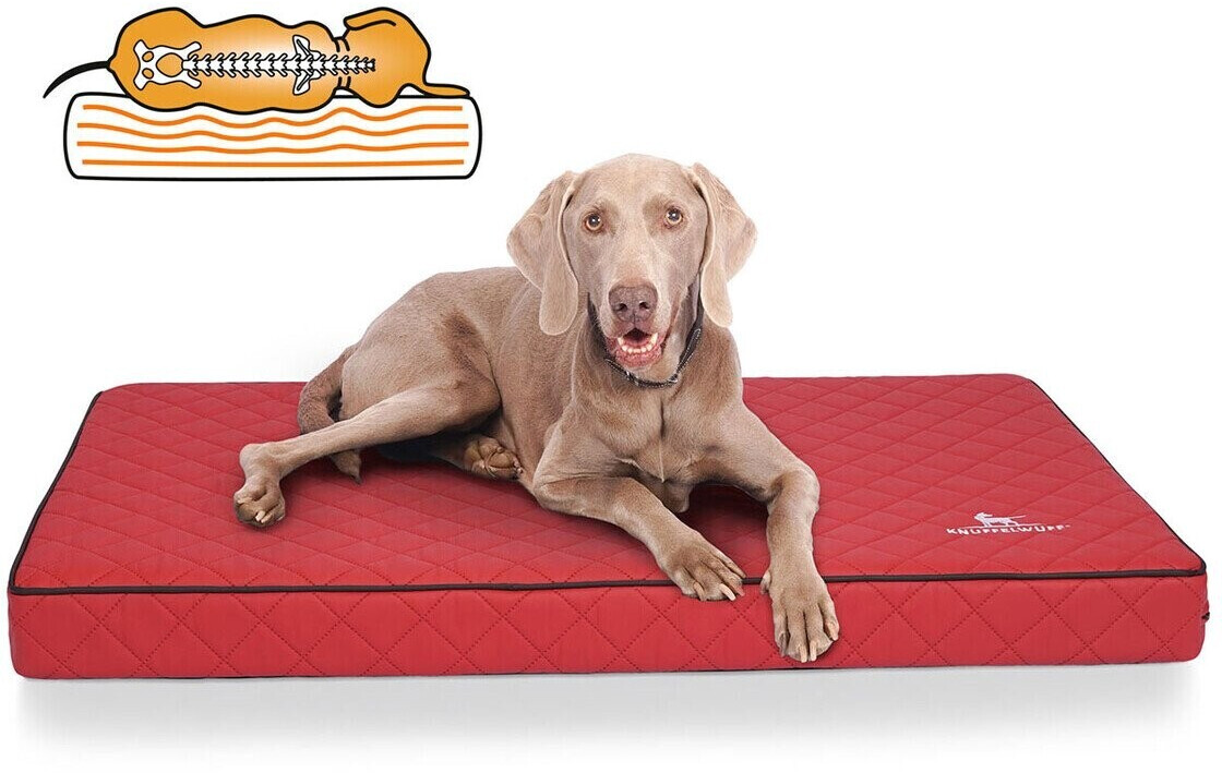 Knuffelwuff Orthopedic Dog Mat Juna