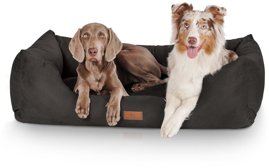 Knuffelwuff Lit pour chien noir XXL 120 x 85 cm Knuffelwuff Lit pour chien noir XXL 120 x 85 cm