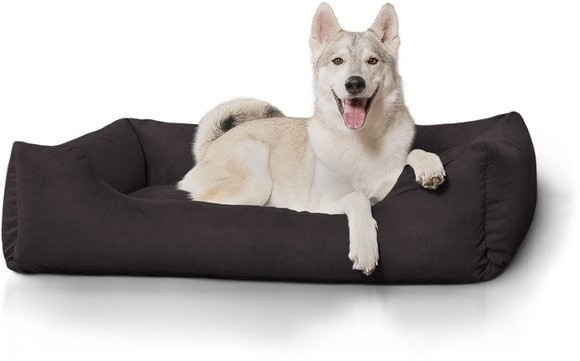 Knuffelwuff Lit pour chien noir XXL 120 x 85 cm Knuffelwuff Lit pour chien noir XXL 120 x 85 cm