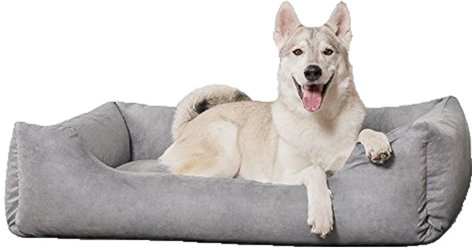 Knuffelwuff Lit pour chien gris XXL 120 x 85 cm Knuffelwuff Lit pour chien gris XXL 120 x 85 cm