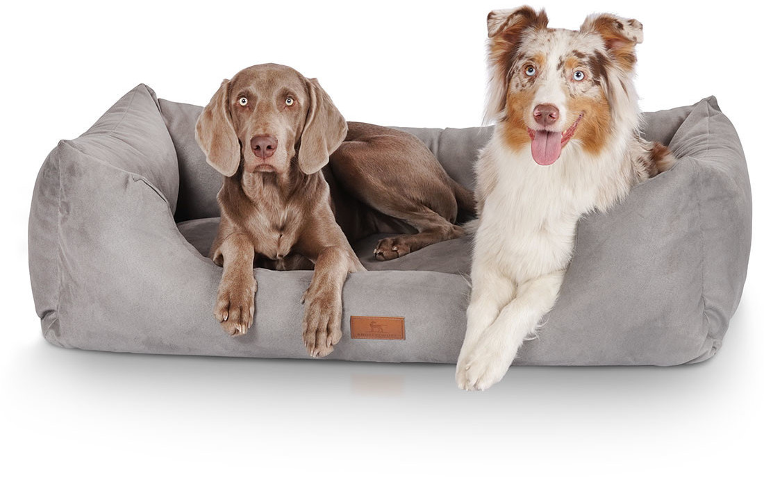 Knuffelwuff Lit pour chien gris M/L 85 x 63 cm Knuffelwuff Lit pour chien gris M/L 85 x 63 cm
