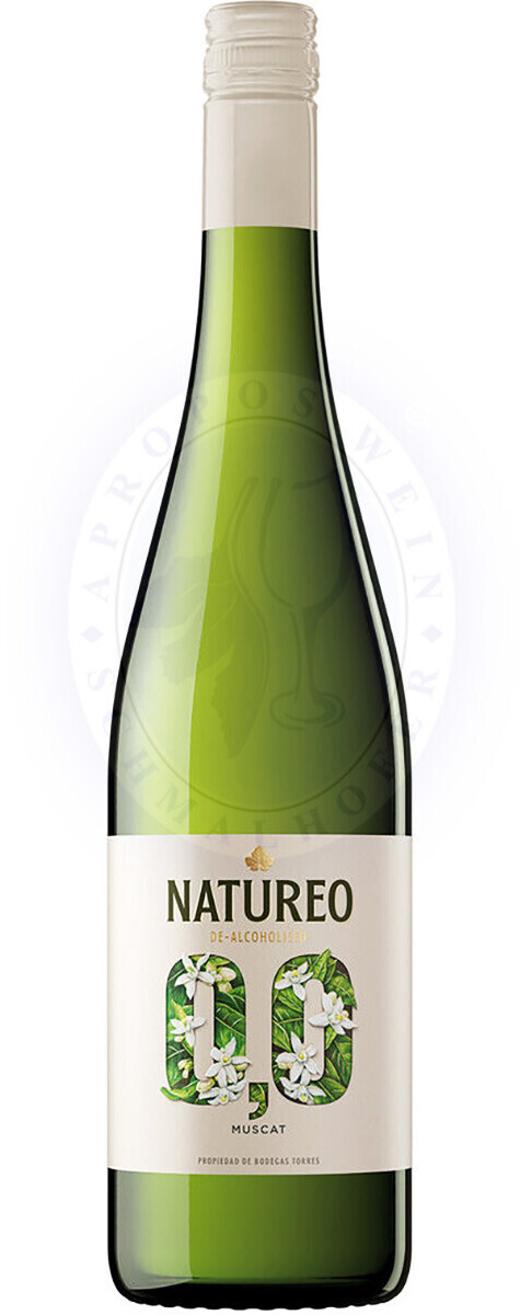 Torres Natureo Free Blanco alkoholfreier Weißwein DO 0,75l ab 7,50 € |  Preisvergleich bei