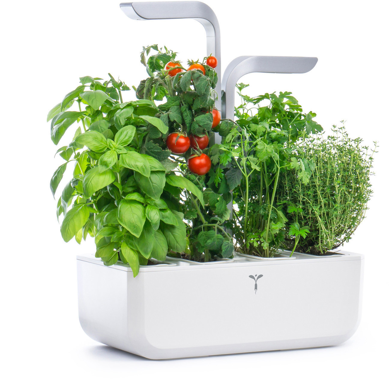 Véritable Smart blanc/gris