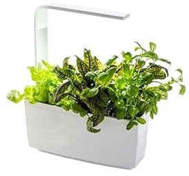 Tregren T6 blanc