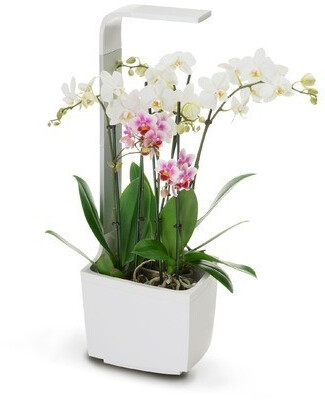 Tregren T3 blanc
