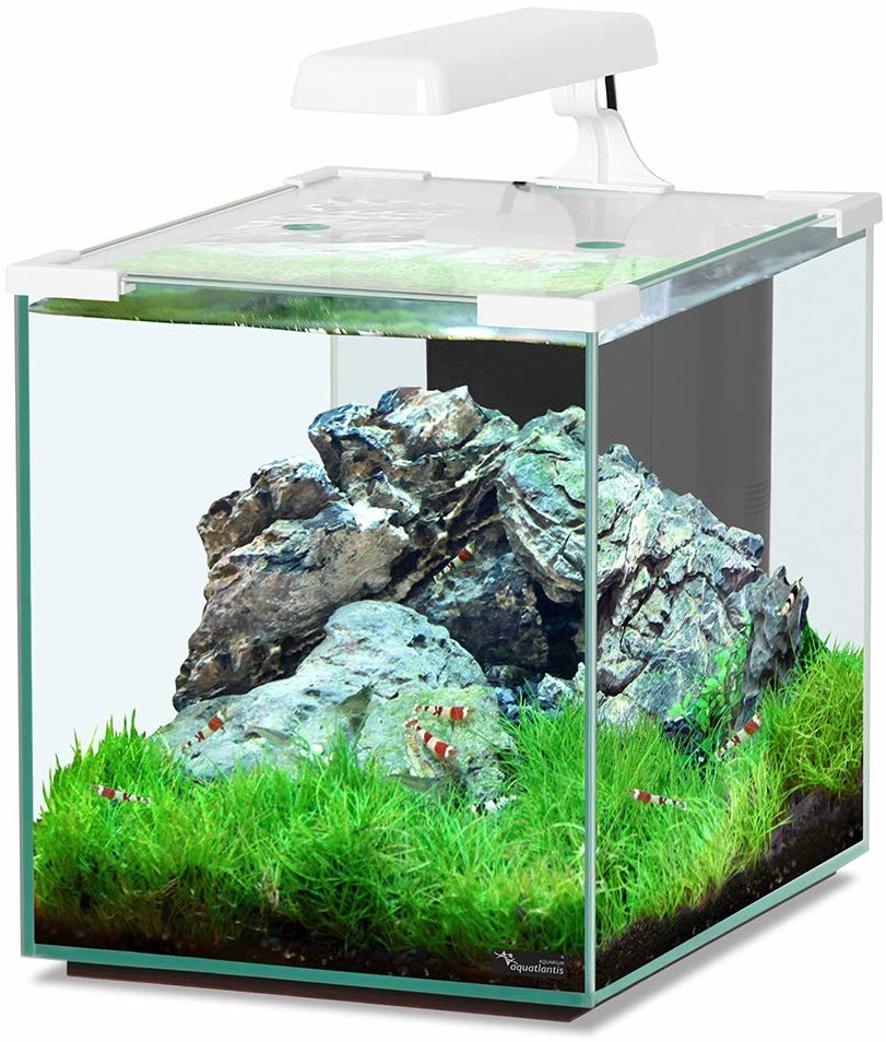 Aquatlantis Nano Cubic 20 LED blanc