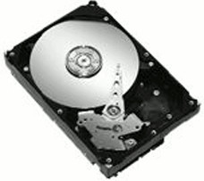 Seagate Barracuda 7200.10 160Go (ST3160815AS)