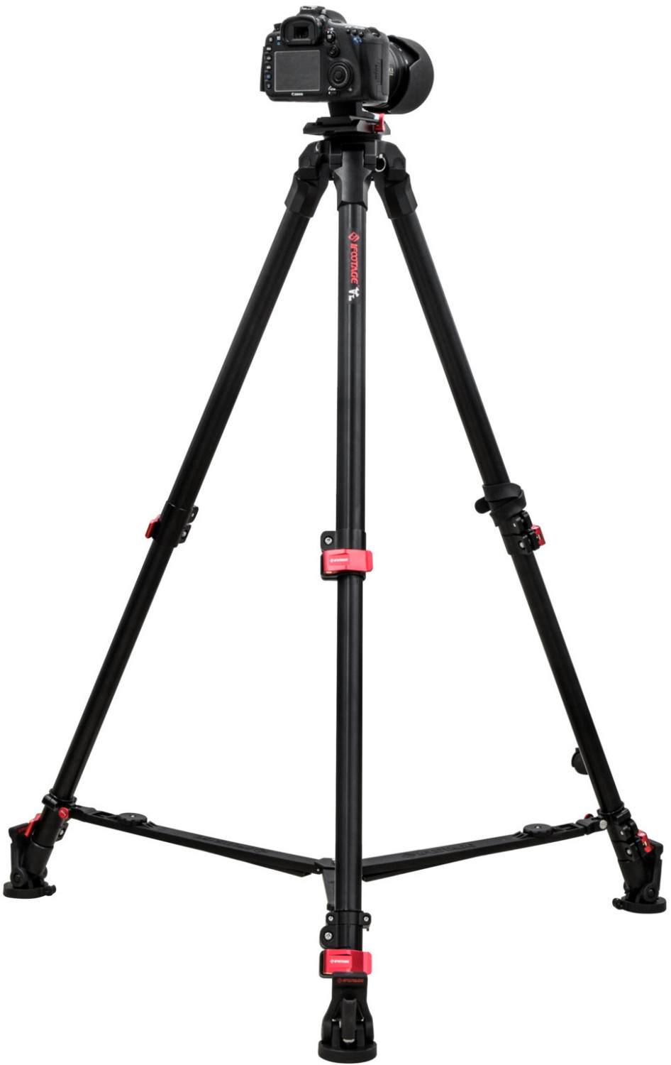 iFootage Wildbull T5
